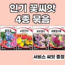 인기꽃씨앗 4종 묶음 양귀비 물망초 쑥부쟁이 겹접시꽃, 3set