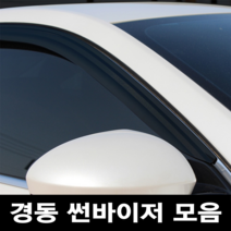 경동 썬바이저 자동차 빗물받이 윈도우 썬바이져, 현대 메가트럭 썬바이저(2P) 스모그