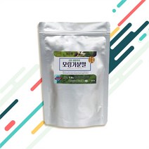 굿소일 정든팜 파이토케미컬 모링가 잎 분말 가루 500g 1개 (7705359), 필수 아미노산 품은 천연 건강식품