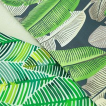 자투리 대폭 캔버스 아포칼립스 택1, 대폭 캔버스 아포칼립스 빅리프