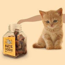 말썽쟁이여름 고양이 동결건조 국산 마따따비 개다래 열매 10g, 동결건조 마따따비 열매 10g