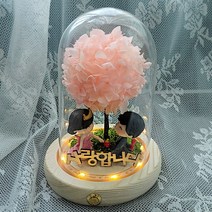 프로포즈 유리돔 무드등 여자친구 생일축하 출산 기념일 커플 선물
