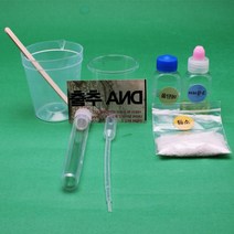 재밌는 과학 놀이 DNA 실험 10인 세트 완구 재미있는 과학교실 과학키트