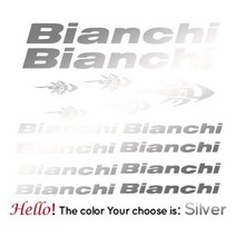 자동차 스티커 PEGATINAS VINILO LAMINA BICICLETA bianchi-kit1 COLNAGO 장식을위한 주문 자전거 비닐 전사 술, 은, 40CM