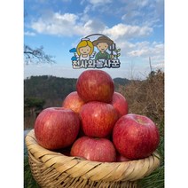 지리산 산청 꿀 사과 햇 부사 대과 사과선물세트 5Kg 10Kg, 대과(34과내외)