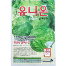 유니온 결구상추씨앗300립 코팅씨앗 권농종묘 농록색 큰구형 품종으로 내서성과 내습성이 강한 중생계 결구상추