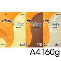 삼원특수지 플라잉칼라 160g A4 15매 양면색상지 복사지 색지 칼라복사지 엠보싱, L22 검정색