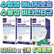 흡수빠른 수험생 학생 영양보충 비타민B군 판토텐산 B9 B7 30대 40대 50대 직장인 목넘김편안 꼭먹어야하는 VITAMIN 메코발라닌 메코발라민 원활한 신진대사 하루 1정