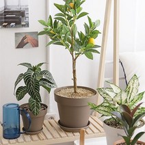 베란다 홈가드닝 실내인테리어 작은정원 아트화분 5호, 쿠팡 브라운