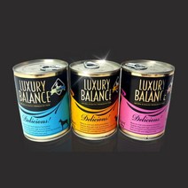 대량 사료투정 중형견 소고기 강아지캔 10개 반려견 입맛회복 건강간식 강쥐 영양만점