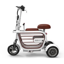 전동스쿠터 삼발이 삼토바이 3륜스쿠터 대형 삼륜차, 표준