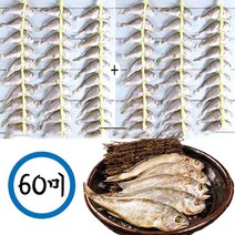 영광 법성포 굴비 4호(19cm) 30미 명절 생선 시댁 추석 선물세트 조기굴비, 60미