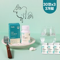 HACPP인증 분리 유청 단백질 정 산양유 우유 단백질 유단백추출물 WPI 유단백추출물 MBP 분리유청단백질 단백질보충제WPI 프로테인 소화잘되는 어르신 단백질 유청칼슘 베타카제인