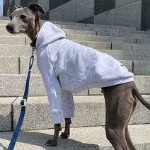 앙드레멍 이탈리안그레이하운드 아이쥐 옷 후드 티셔츠 (휘핏 베들링턴테리어 강아지), 블랙