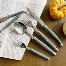 까르투하 라귀올 스페인 수입 커트러리 세트 포크 나이프 디저트 양식기 박나래 4color, 티스푼, 블랙