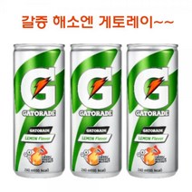 게토레이 레몬 240ml 30캔 이온 갈증 해소 음료