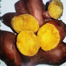 안면도 호박고구마 꿀고구마, 호박고구마5kg(중상혼합))