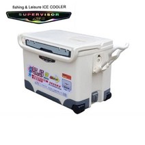 NUNUBITEL_행관 슈퍼바이저 아이스박스 3600RX 36L 캠핑용 소풍 보냉 식품보관 여행용 용보냉 쿨러_NUB누비텔레숍, 옵션이없는_단일품목입니다