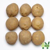 사라상회 감자 20Kg (특)