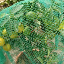 새 그물망 농작물 보호 그물 방조망 4x5m 새그물망 작물그물망 새망 안전망 방조망 조류그물망 참 결망, 쿠팡c 본상품선택