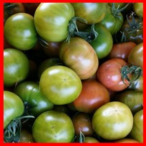 달콤상콤 대저 특산물 오리지날 짭짤한 토마토2.5kg 프리미엄 5-6번과, 1박스, 2.5kg(5-6과)정품 로얄과