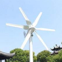 무소음발전기 소형 캠핑 fltxny 800w 12v 24v 48v 가정용 소형 터빈 6, mppt 컨트롤러로, 800w 6 블레이드