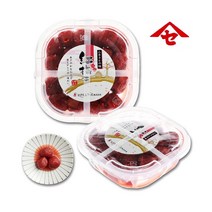 세키모토 베니 우메보시 매실절임 200g 도시락반찬 밥반찬 주먹밥재료, 3개