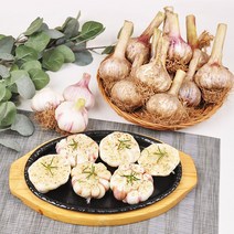 [푸르젠] 충남 서산 난지형 마늘 (짱아찌용), 1개, 3kg(일반)