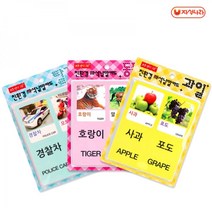현hmvy_자석낱말카드 교육용 어린이학습 학습용 공부♥sngr1, ♥sngr1동물