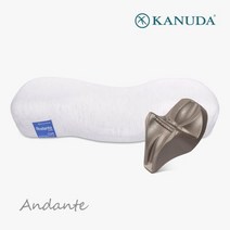 가누다 블루라벨 안단테 싱글세트(베개+머리냅) 기능성 베개, 단품