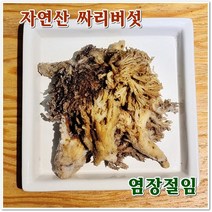 [문상영 버섯] 무농약 녹각영지버섯 500g, 1box