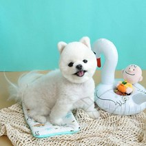 새임 쿨 파우치 아이스팩 포함 애견쿨매트 보냉백 강아지쿨젤매트