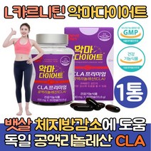 l카르니틴 엘카르니틴 다이어트 체지방감소 1통 CLA 공액리놀레산 기초대사량 증가 L-CARNITINE L-카르니틴