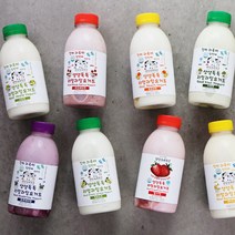 사그담 평창보배목장 리얼과일 요거트 모음, 망고맛 요거트 500ml, 망고맛 요거트 500ml