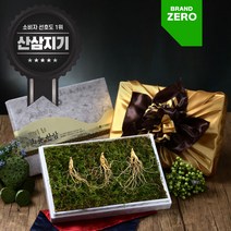 산삼지기 5년근-10년근 산양삼 국내산 산양산삼 장뇌삼, 산양 산삼 7-8년근 3뿌리, 1개
