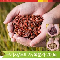 건강차 건조 열매 복분자 오미자 구기자 건강차 200g, 구기자(12RR)