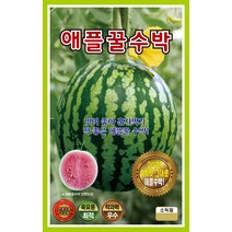 애플수박 (소형수박) 100립/전문가용채소/과채류/씨앗
