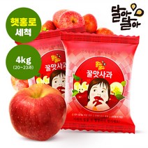 달아달아 꿀맛사과 세척 홍로 사과 당도선별, 4kg (20-22과)