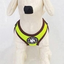 에씨클레오 슬림핏 안정적인 착용 또사구 슬림메쉬 강아지 하네스 형광 [XL] E-1225906