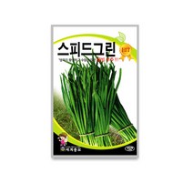 모칸도 세계종묘 스피드그린 부추 2000립