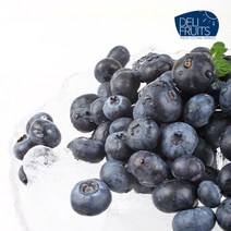 (현대Hmall) 델리후르츠 아이스 냉동 블루베리 1kg x 4팩 / 미국산