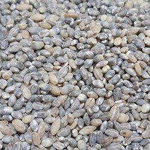산들바람 2022년산 유기농 청보리 녹색보리 500g