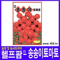 헬프팜 송송이토마토 50립 종자 씨앗 동원농산종묘