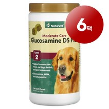 리암마켓 NaturVet 네이처벳 강아지용 조직 연골 관절 건강 관리 보충제 글루코사민 DS 플러스 소프트츄 240개 576g 1팩, 6팩