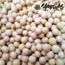 식탐대첩 22년 국내산 백태 (메주콩) 1kg, 단품