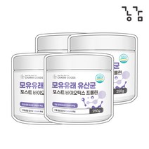 비피도 lgg유산균 락토바실러스 플란타럼 모유유래 유산균 250g 4통