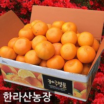 한라산농장 천혜향 10KG 랜덤1종발송(소/소중/중/대) 농장직송 홍보용