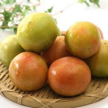 [햇살아름]대저 토마토 2.5kg S, 1개, 상세설명 참조