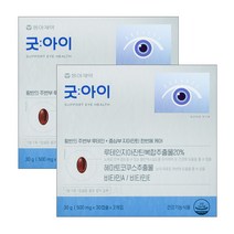 동아제약 굿아이 루테인지아잔틴 60캡슐, 2개, 2개, 60정