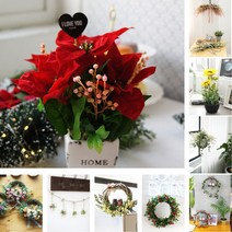 해피데이 겨울꽃 15종 포인세티아 화분 세트 생화 여친 연말 선물 L2-201231-2, 핑크